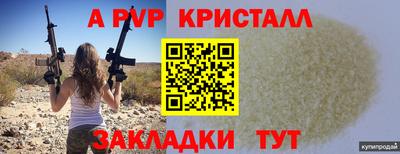 стаф Малгобек