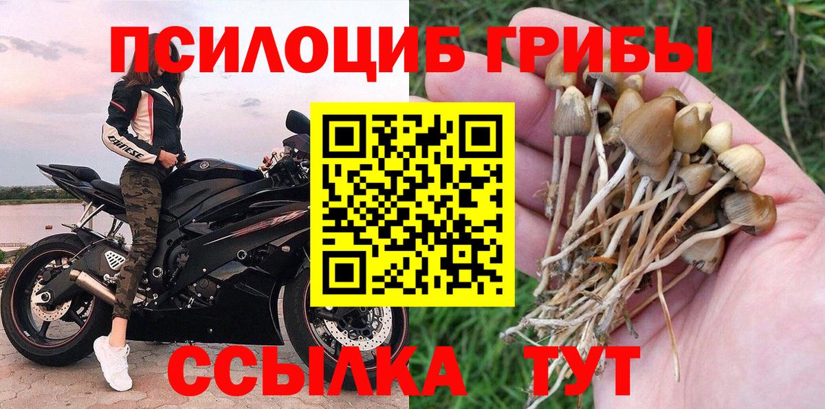 Псилоцибиновые грибы GOLDEN TEACHER Чебаркуль