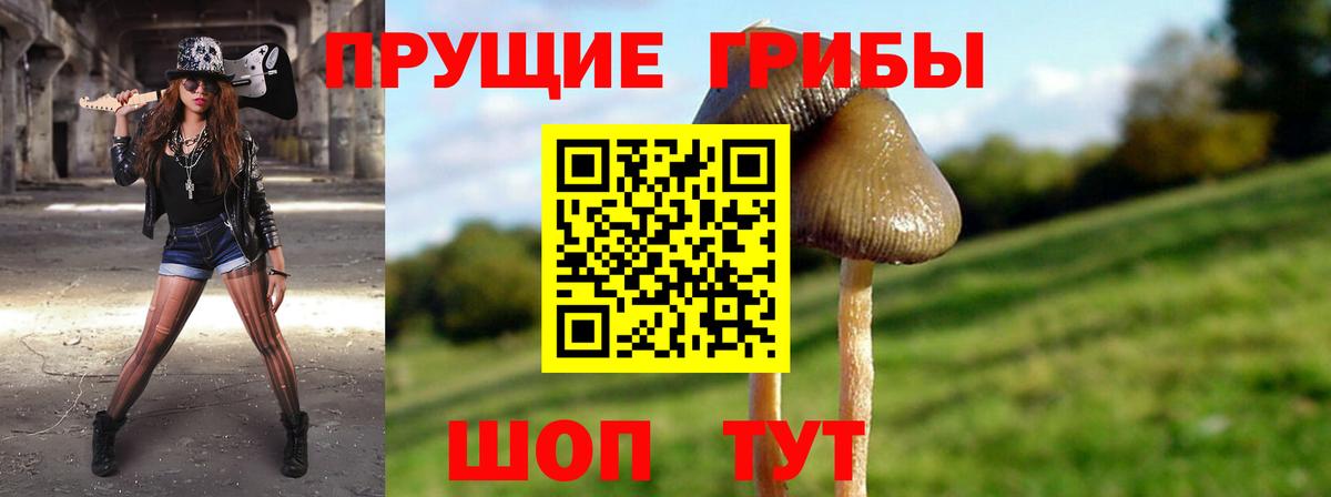 Чебаркуль  Псилоцибиновые грибы прущие грибы  Вход с VPN 